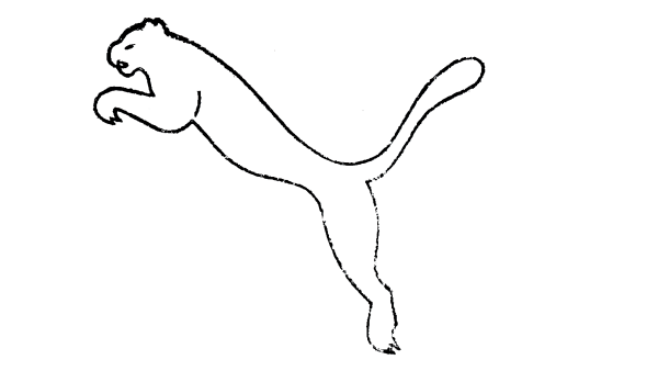 Нарисовать пуму