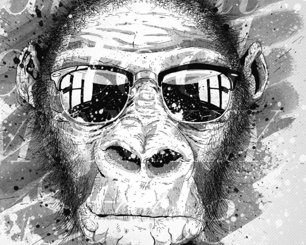 Обезьяна в очках рисунок