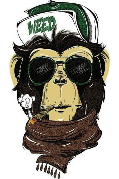 Злая обезьяна в очках