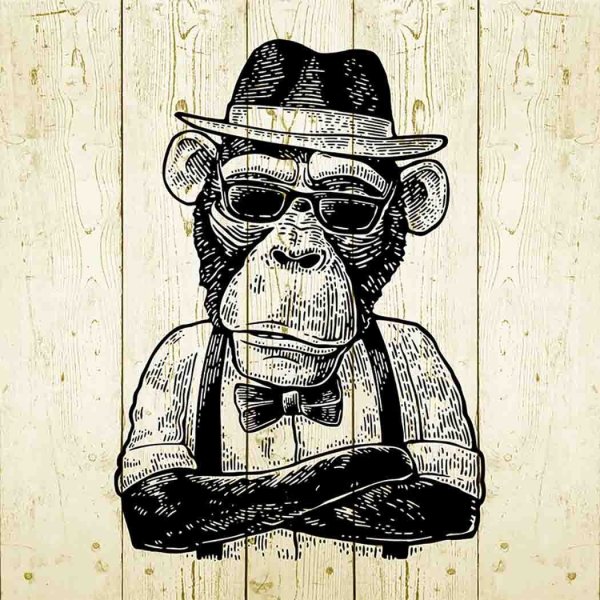 Обезьяны хипстеры