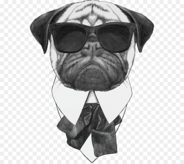 Мопс в очках