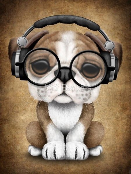Животные в наушниках