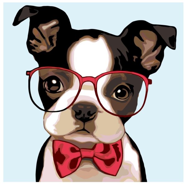 Животные в очках арт