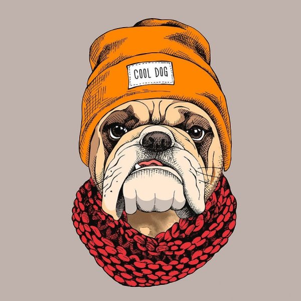 Шапка для бульдога