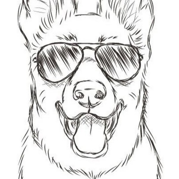Нарисовать собаку в очках