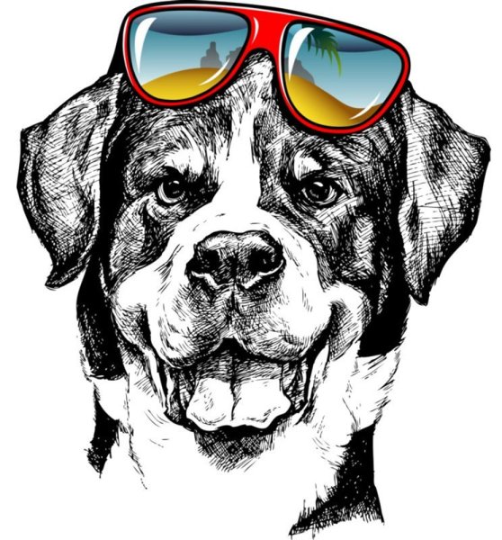 Собака в очках принт