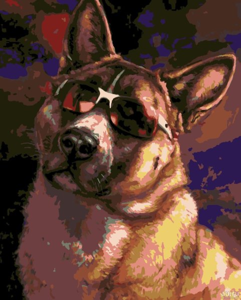 Крутая собака в очках