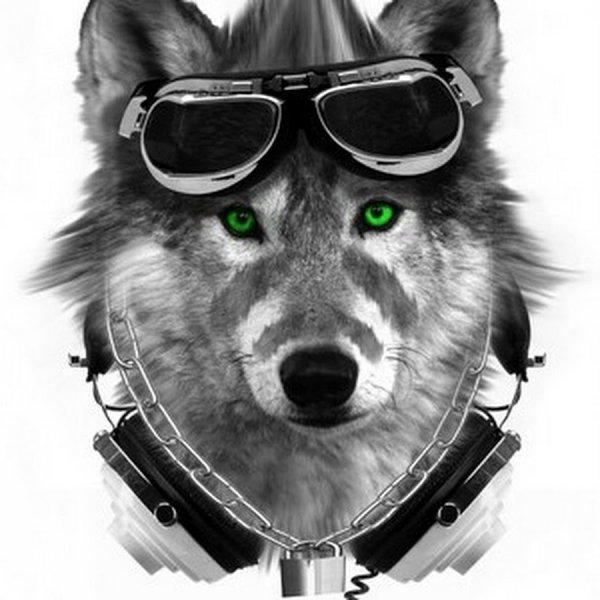 Волк в очках