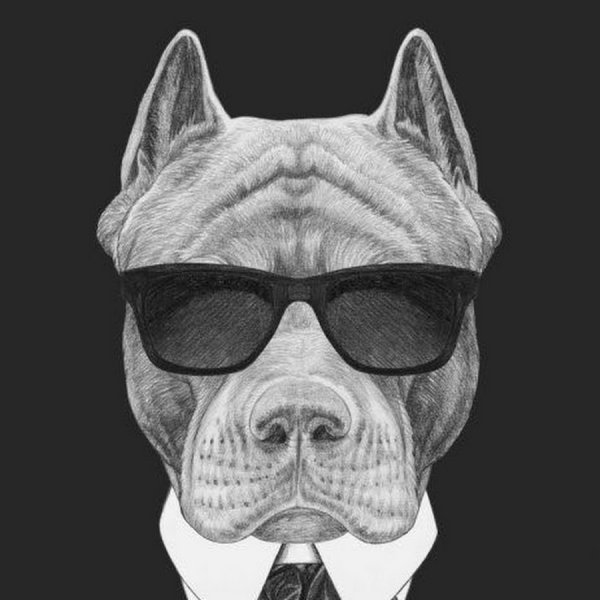 Крутой 2 д пес в очках