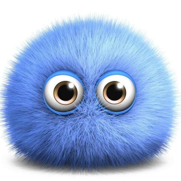 Забавные пушистики