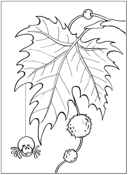 Осенняя раскраска