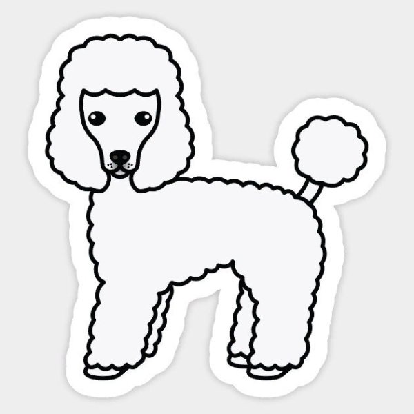 Белый пудель Куприн раскраска