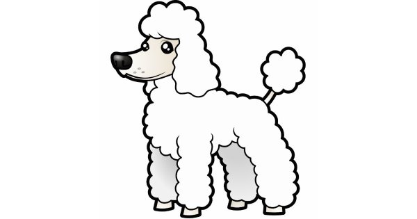 Пудель рисунок для детей