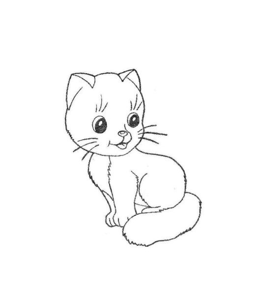Раскраски маленьких котят