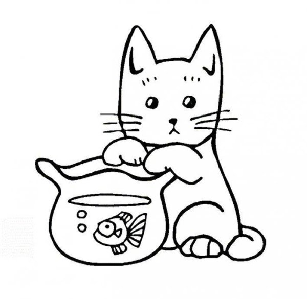 Раскраска кот