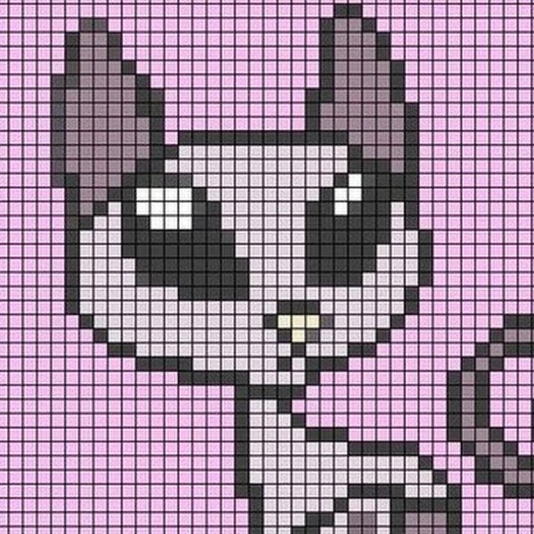 Кошечка по клеткам