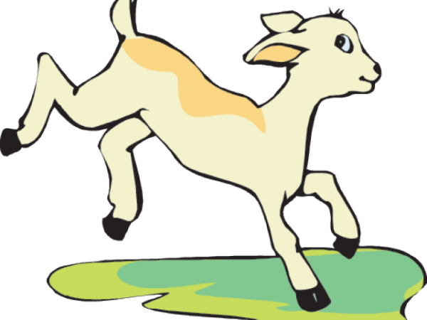 Козленок рисунок