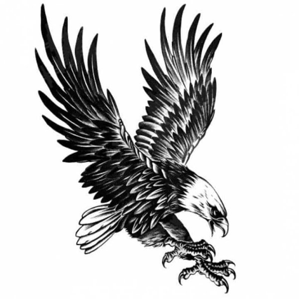Эскизы тату орла на плече