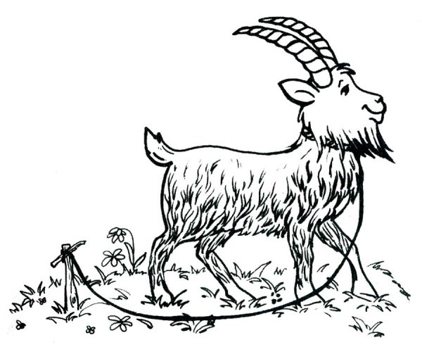 Коза раскраска для детей