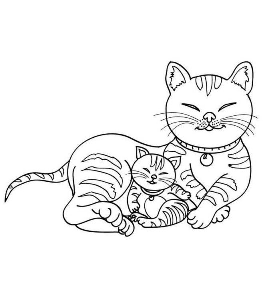 Кошки. Раскраска