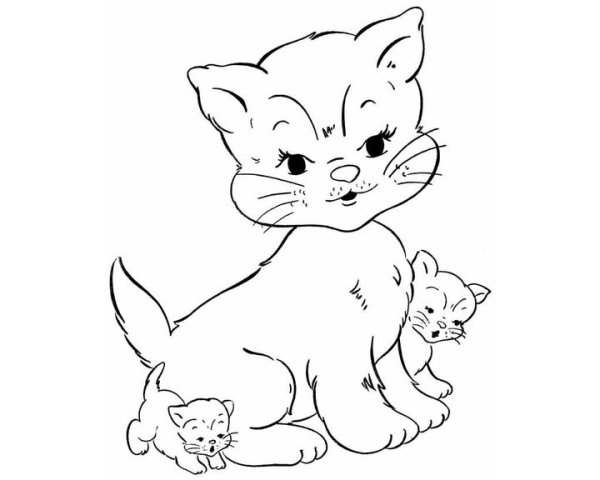 Котенок для ДОУ раскраска
