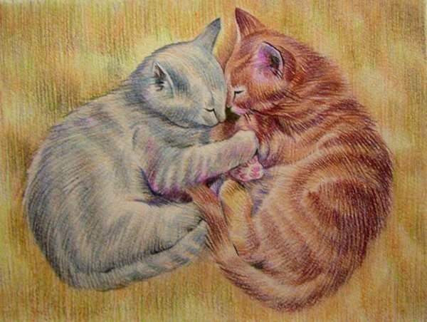 Котята в обнимку рисунок