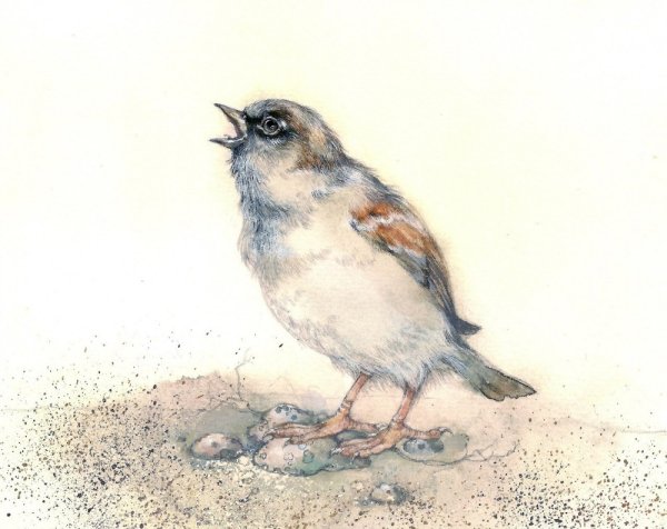 Уличный певец Сетон-Томпсон