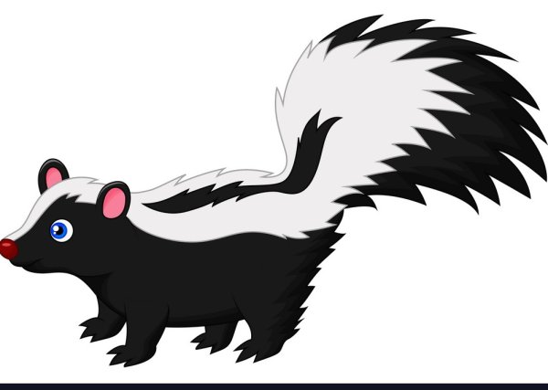 Скунсы мультяшные