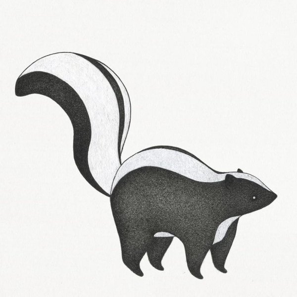 Скунс легкий рисунок