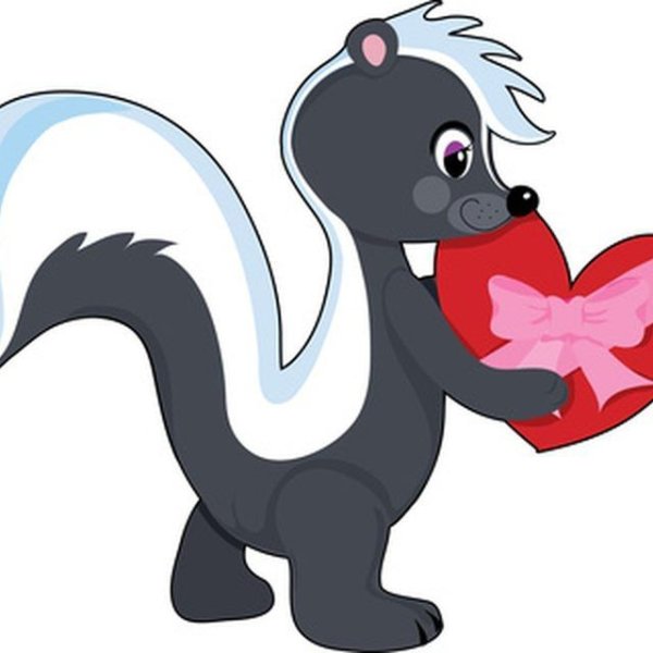 Слон и скунс