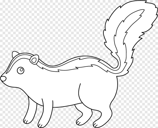 Скунс раскраска