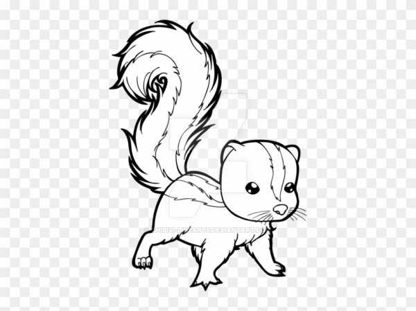 Скунс рисунок карандашом