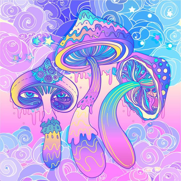 Хиппи грибы психоделики