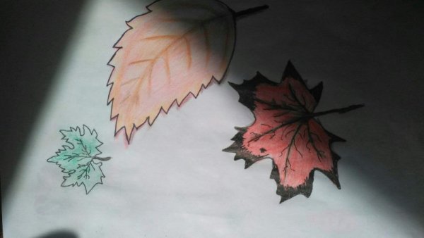 Рисунки на маленьком листочке