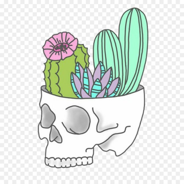 Кактус рисунок для срисовки