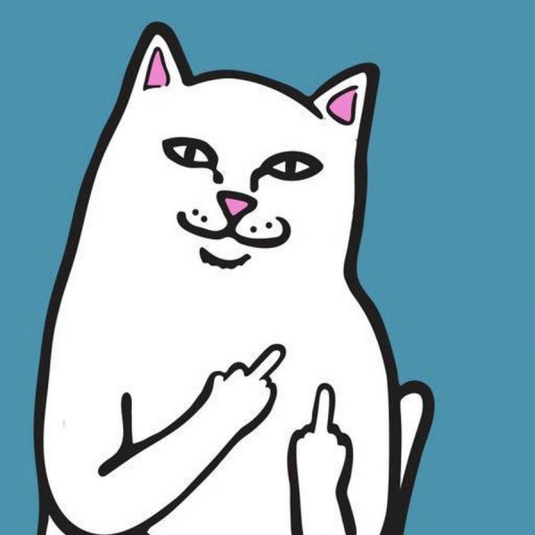 Кот Лорд Нермал