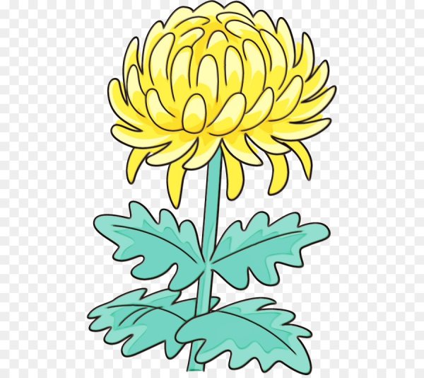 Хризантема нарисовать ребенку
