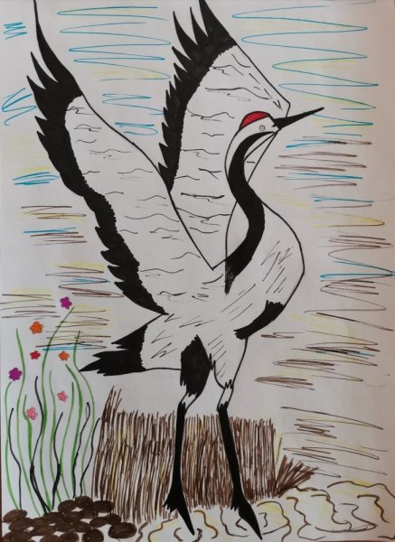 Журавль рисунок