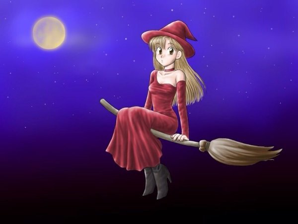 Волшебница на метле