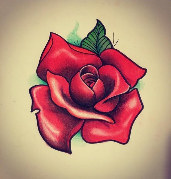 Роза тату эскиз цветной