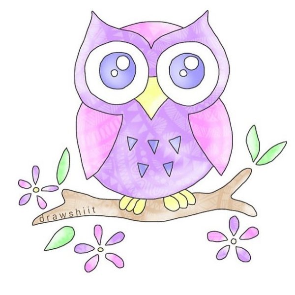 Милые Совушки для срисовки