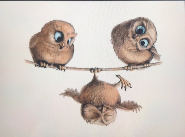 Стикеры в виде Совы