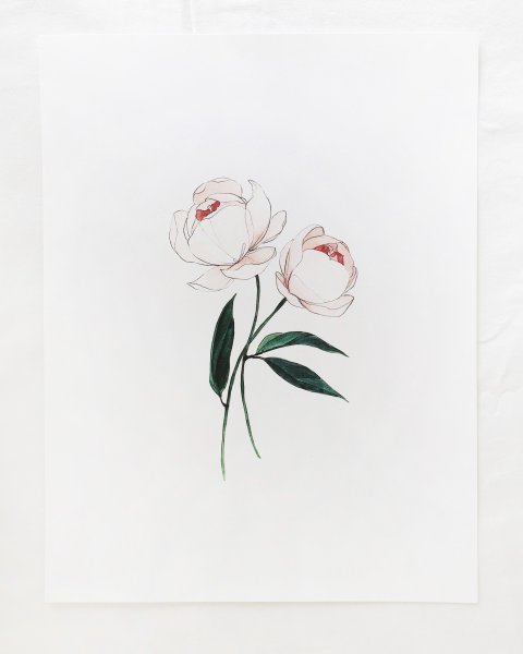 Тату пион Минимализм