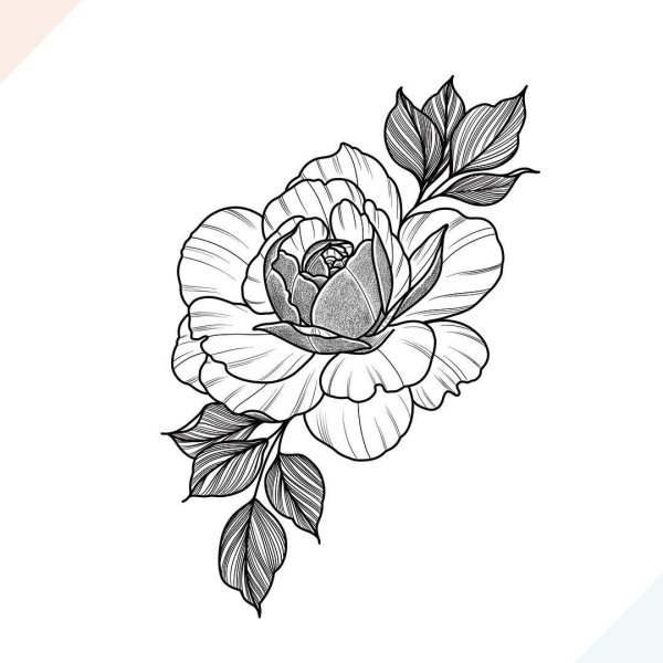 Тату цветы контур