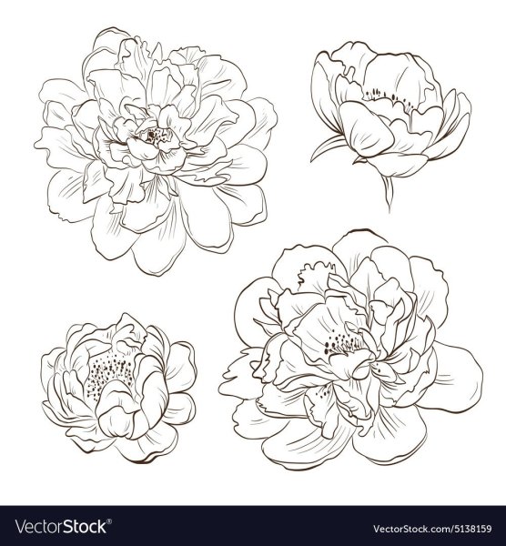 Стилизованные пионы