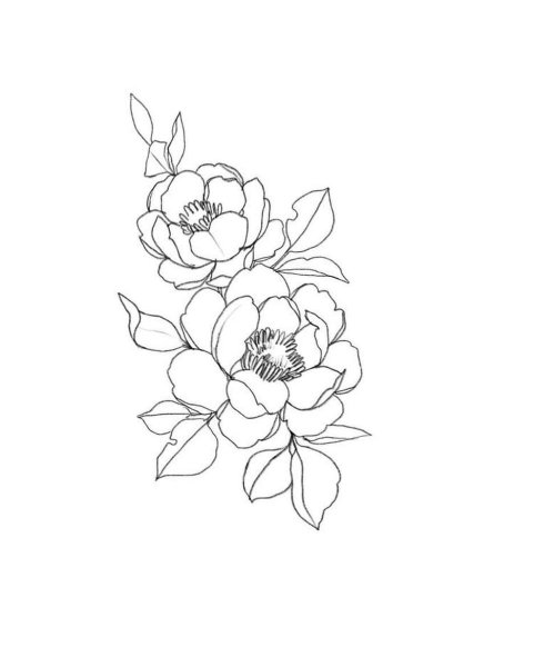 Тату цветы контурные