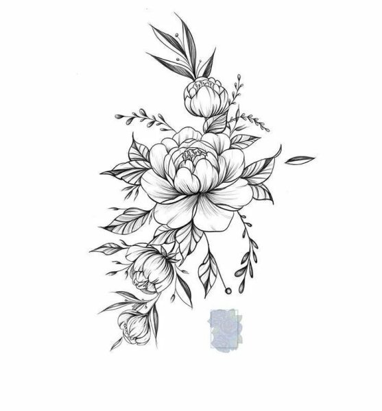 Цветы эскиз