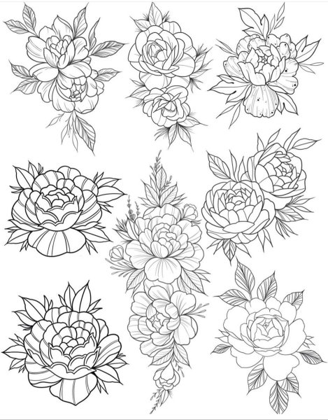 Пионы эскиз контурные