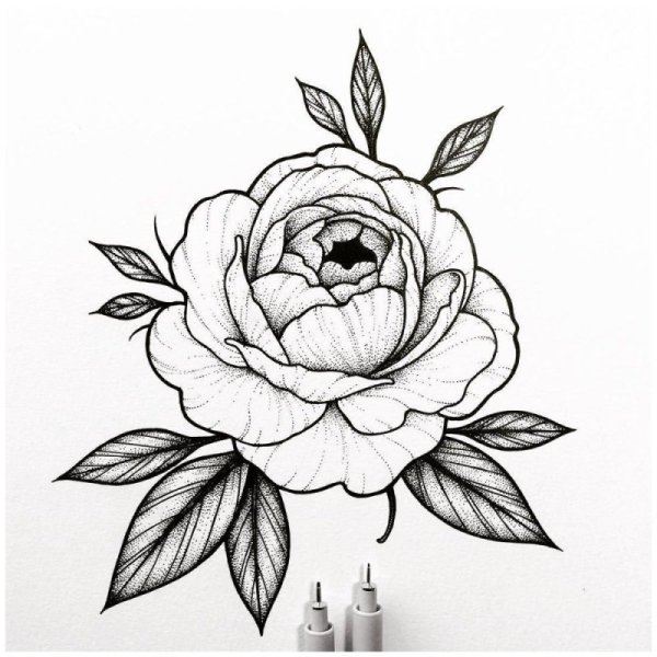 Тату пионы лайнворк эскизы