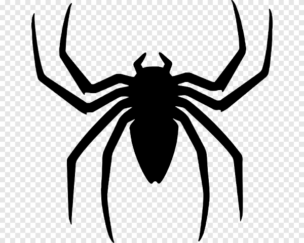 Арахнид младший человек паук